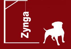 Kehrtwende bei zynga