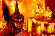 Skandal buddhistische monche dem poker und dem alkohol verfallen